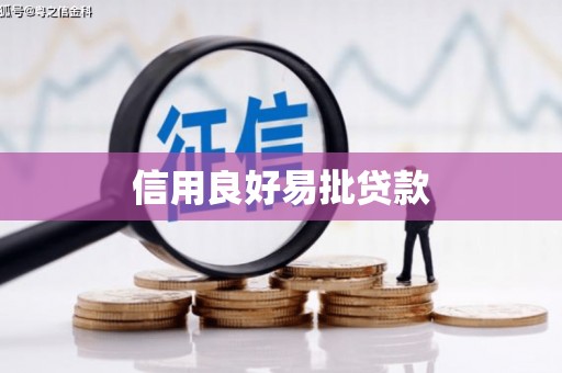 荔湾信用良好易批贷款