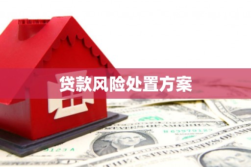 温泉贷款风险处置方案