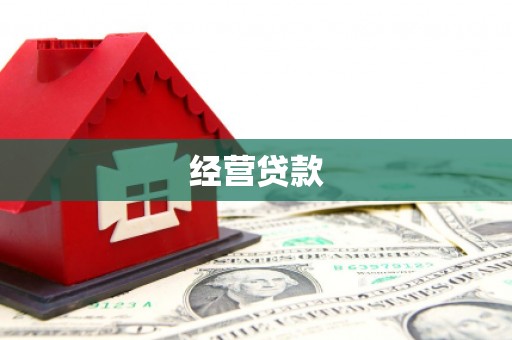 平湖经营贷款