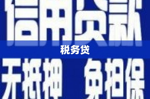 崇明税务贷