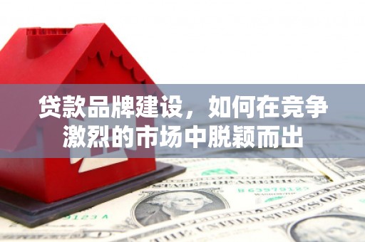 禄丰贷款品牌建设，如何在竞争激烈的市场中脱颖而出