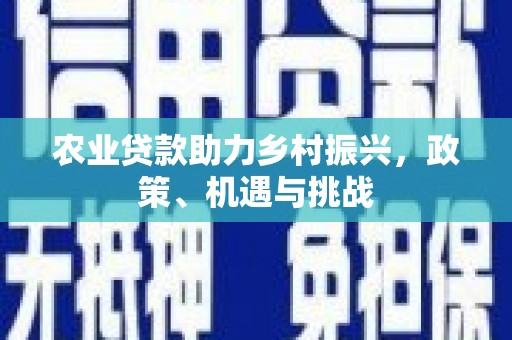 南屯农业贷款助力乡村振兴，政策、机遇与挑战