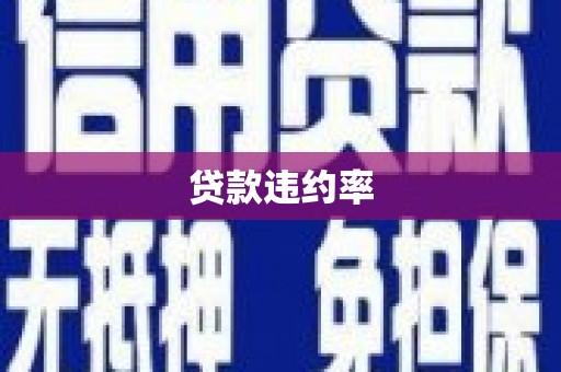 南州贷款违约率