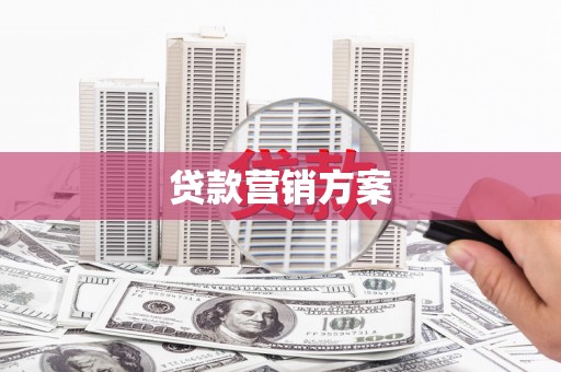 莱山贷款营销方案