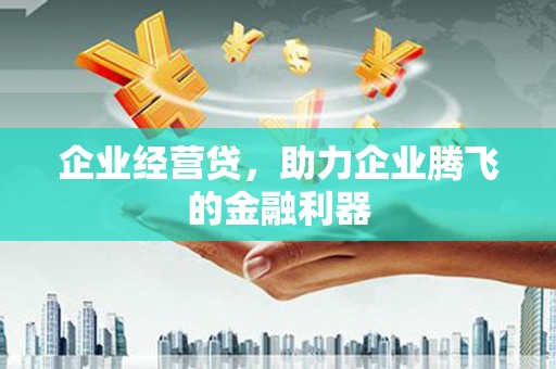 宁夏企业经营贷，助力企业腾飞的金融利器
