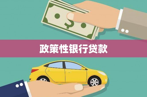 格尔木政策性银行贷款