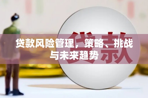 上甘岭贷款风险管理，策略、挑战与未来趋势