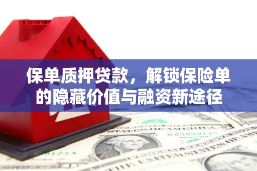 贡寮保单质押贷款，解锁保险单的隐藏价值与融资新途径
