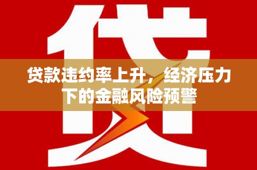 兴文贷款违约率上升，经济压力下的金融风险预警