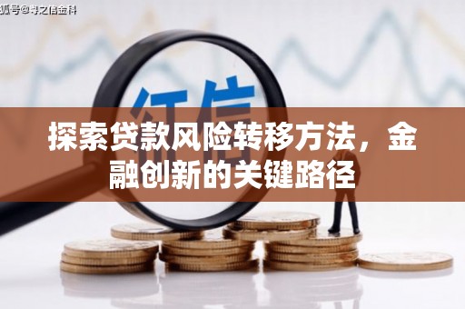 天峨探索贷款风险转移方法，金融创新的关键路径