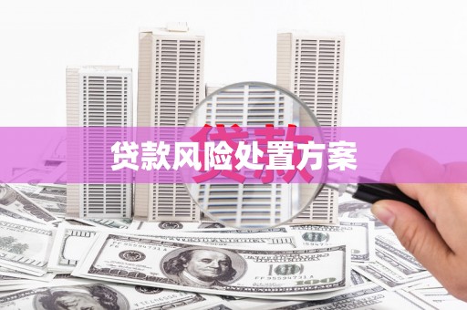 修水贷款风险处置方案