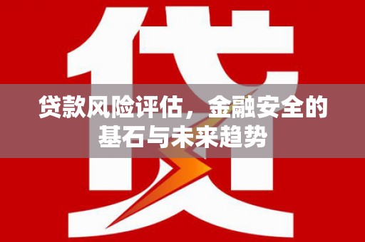 永登贷款风险评估，金融安全的基石与未来趋势