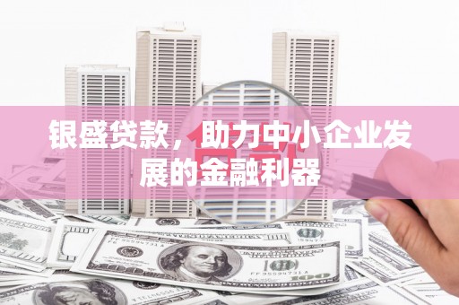 大甲银盛贷款，助力中小企业发展的金融利器