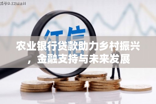 武鸣农业银行贷款助力乡村振兴，金融支持与未来发展