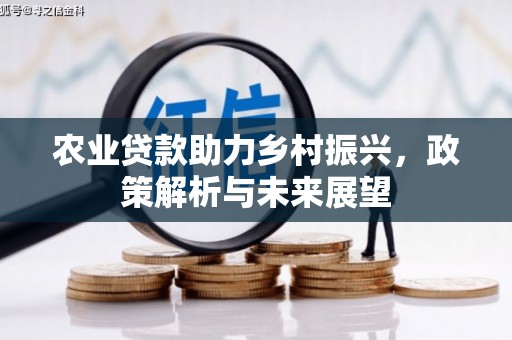 长洲农业贷款助力乡村振兴，政策解析与未来展望