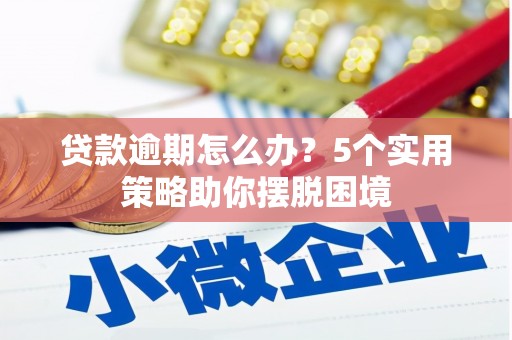 昌乐贷款逾期怎么办？5个实用策略助你摆脱困境