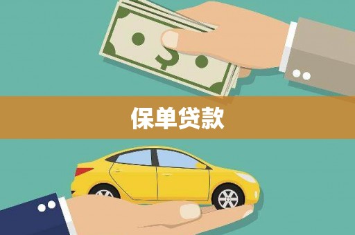 洋县保单贷款