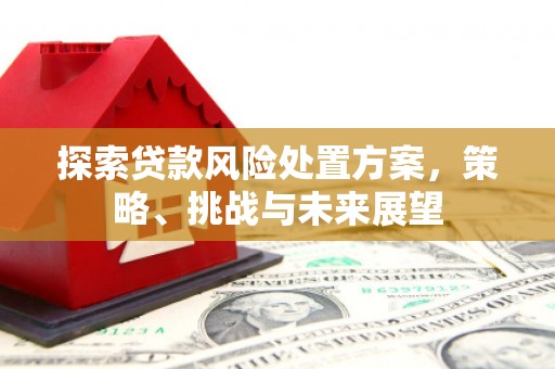 雁江探索贷款风险处置方案，策略、挑战与未来展望