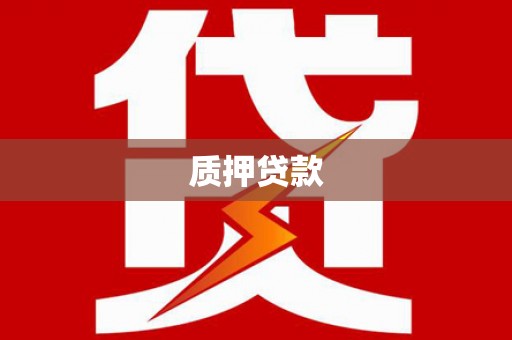 南海质押贷款