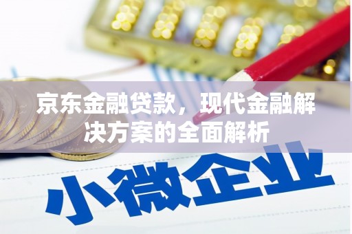 九龙京东金融贷款，现代金融解决方案的全面解析