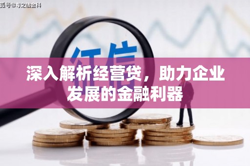 呼玛深入解析经营贷，助力企业发展的金融利器