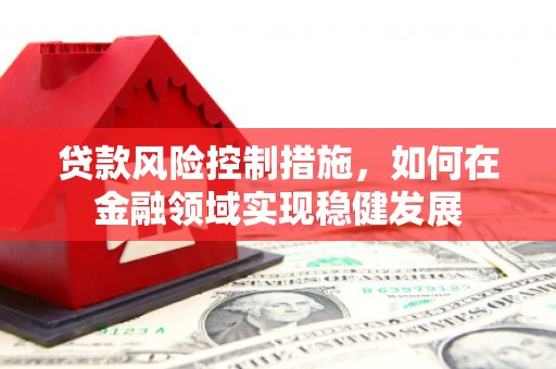 金阳贷款风险控制措施，如何在金融领域实现稳健发展