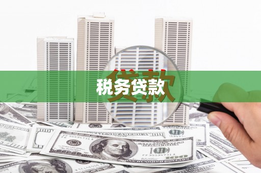 连山税务贷款