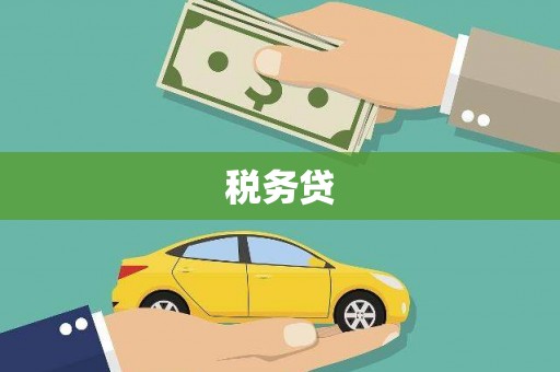 大溪税务贷