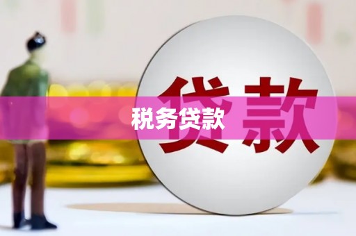 中西税务贷款