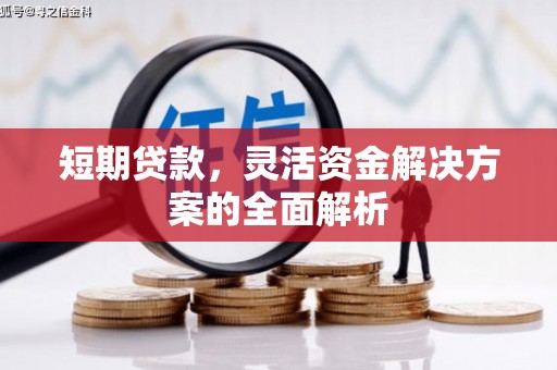 桐乡短期贷款，灵活资金解决方案的全面解析
