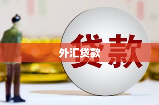 浮山外汇贷款