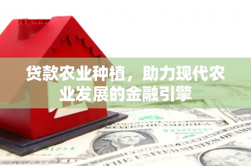 九龙贷款农业种植，助力现代农业发展的金融引擎