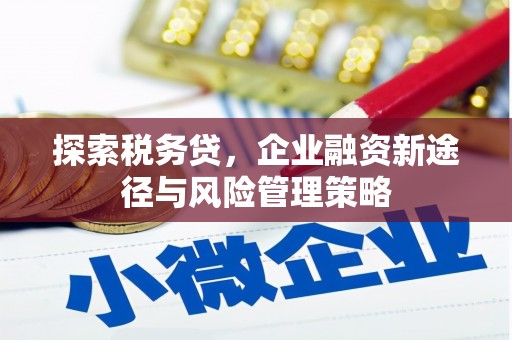 朱家尖探索税务贷，企业融资新途径与风险管理策略
