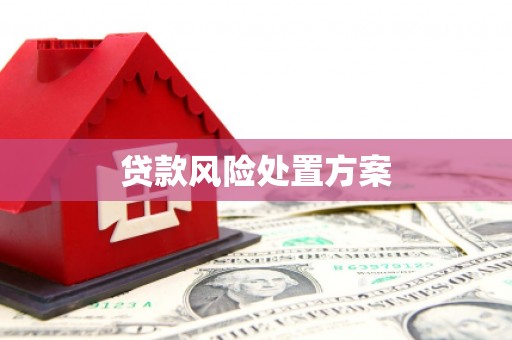 小金贷款风险处置方案
