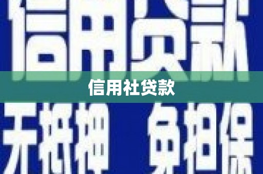 横县信用社贷款