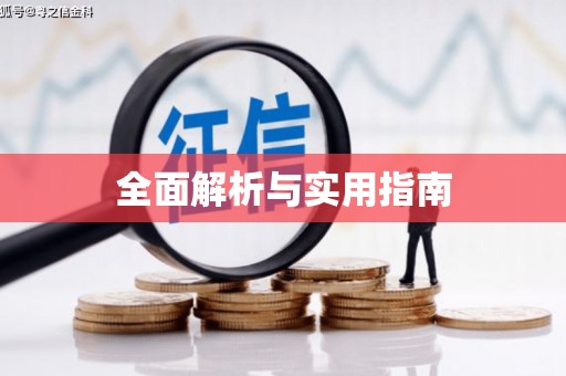 新界全面解析与实用指南