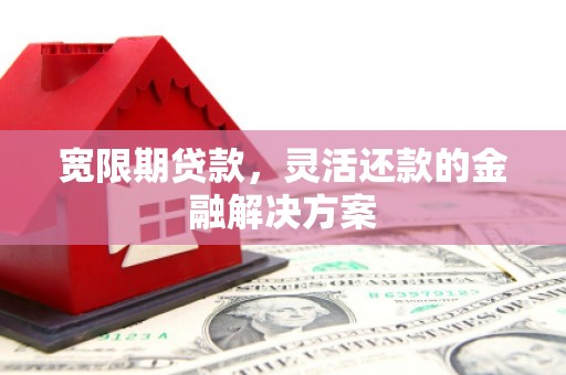 顺平宽限期贷款，灵活还款的金融解决方案