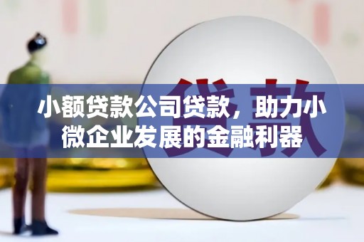 新平小额贷款公司贷款，助力小微企业发展的金融利器