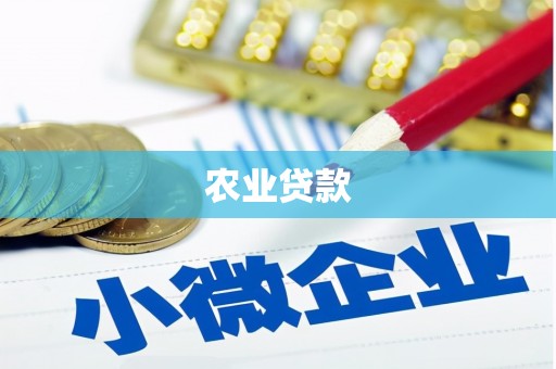 灌阳农业贷款