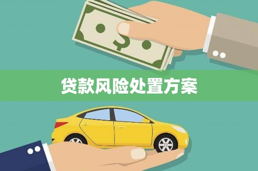 中阳贷款风险处置方案