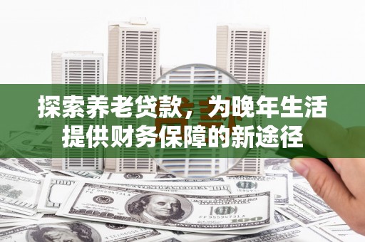 板桥探索养老贷款，为晚年生活提供财务保障的新途径