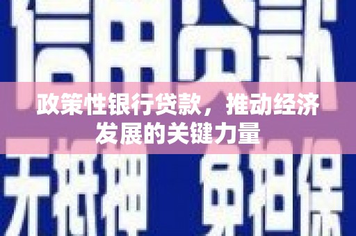 绥芬河政策性银行贷款，推动经济发展的关键力量
