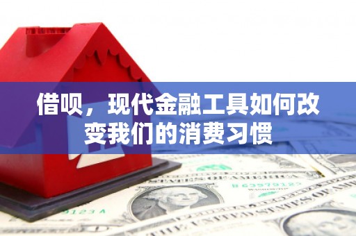 岳麓借呗，现代金融工具如何改变我们的消费习惯