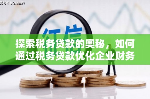 万峦探索税务贷款的奥秘，如何通过税务贷款优化企业财务