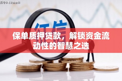天峨保单质押贷款，解锁资金流动性的智慧之选