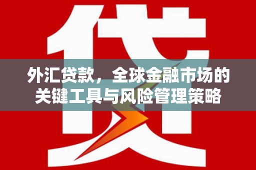 佳木斯外汇贷款，全球金融市场的关键工具与风险管理策略