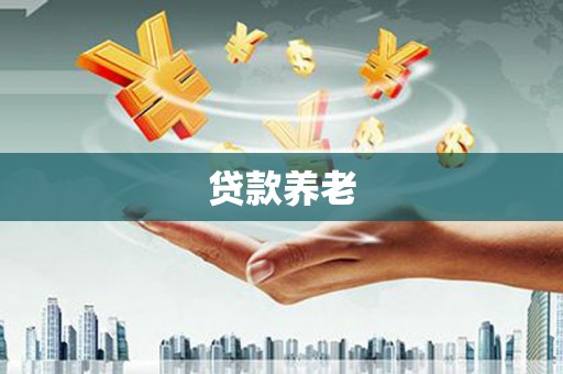 安化贷款养老