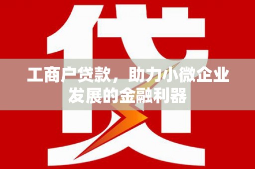 南阳工商户贷款，助力小微企业发展的金融利器