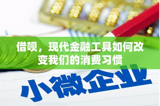 卢氏借呗，现代金融工具如何改变我们的消费习惯