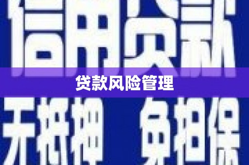 北港贷款风险管理